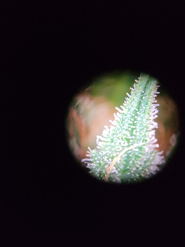 Growreport Bild 6
