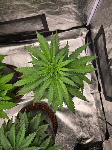 Growreport Bild 10