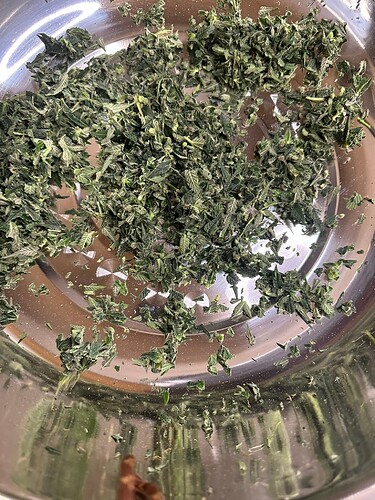 Growreport Bild 5