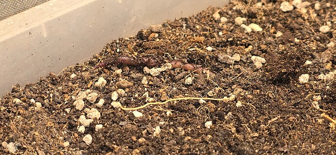 Growreport Bild 18
