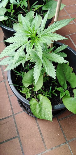 Growreport Bild 12