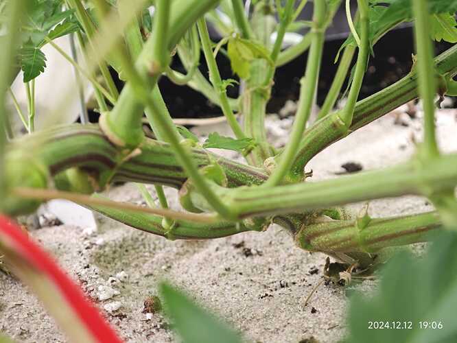 Growreport Bild 25