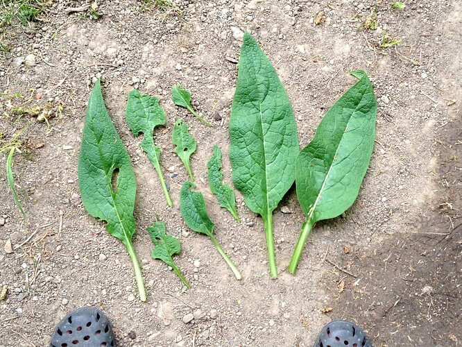 Growreport Bild 39