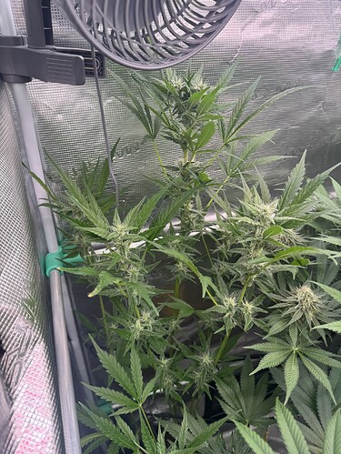 Growreport Bild 11