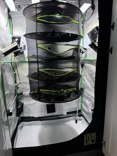 Growreport Bild 27