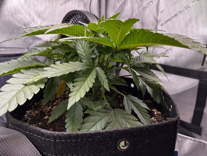 Growreport Bild 2