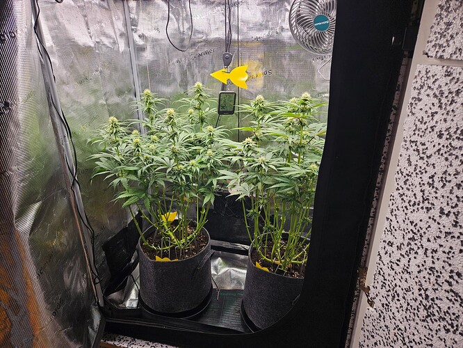 Growreport Bild 10