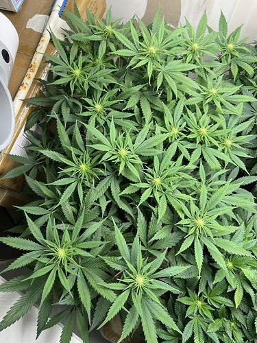 Growreport Bild 11