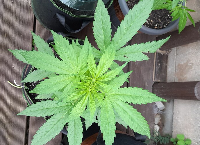 Growreport Bild 13