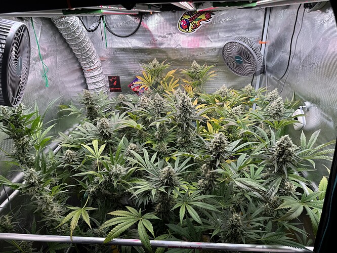 Growreport Bild 16