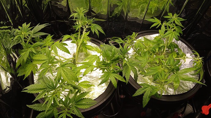 Growreport Bild 8