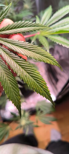 Growreport Bild 6
