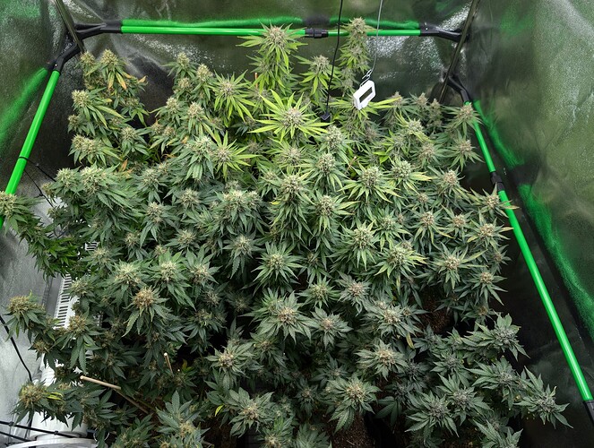 Growreport Bild 14