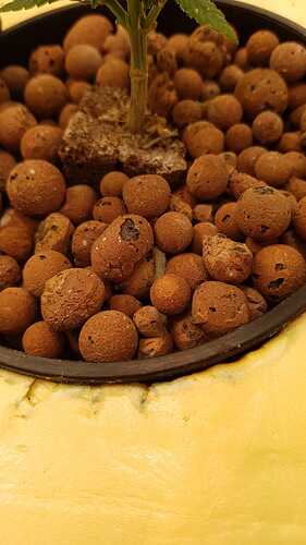 WhatsApp Bild 2024-03-15 um 16.34.36_23b36aeb