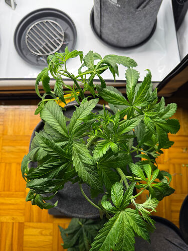 Growreport Bild 21