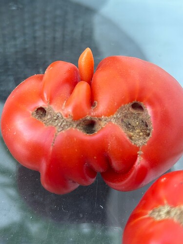 Growreport Bild 109