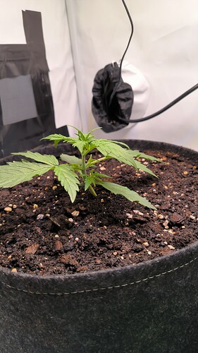 Growreport Bild 14