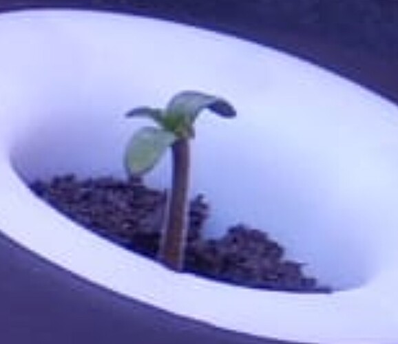Growreport Bild 16