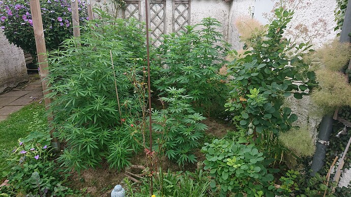 Growreport Bild 15