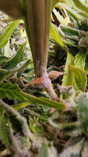 Growreport Bild 4