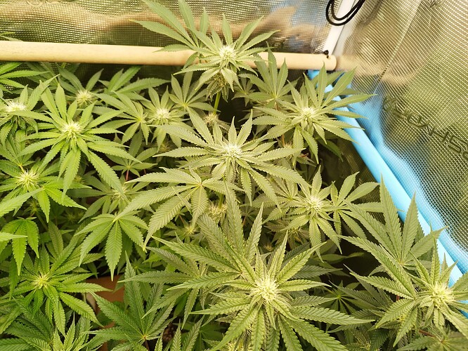 Growreport Bild 10