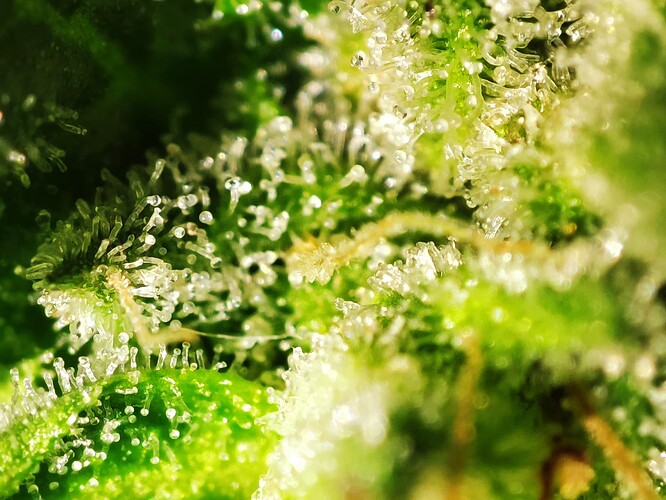 Growreport Bild 14