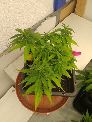 Growreport Bild 10