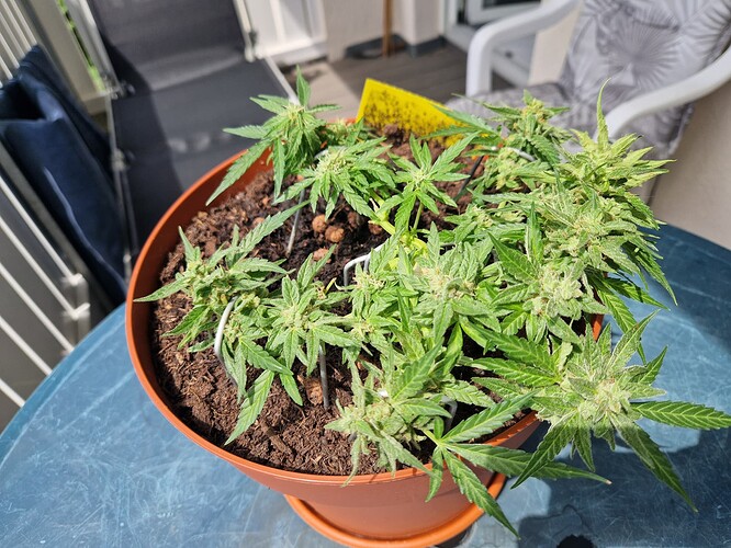 Growreport Bild 14
