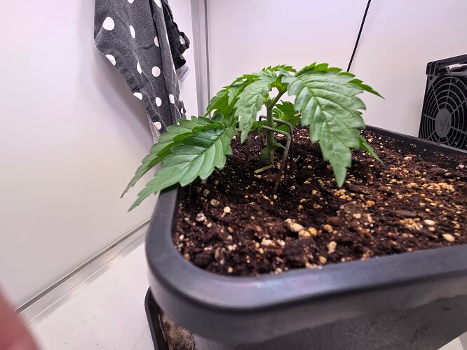 Growreport Bild 4
