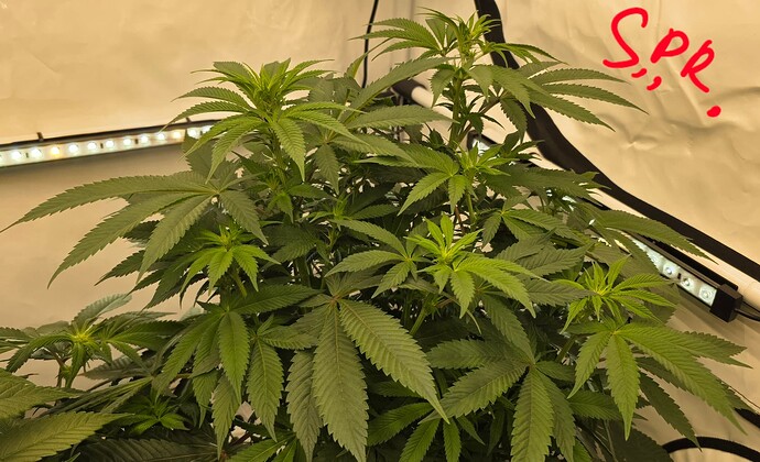 Growreport Bild 17