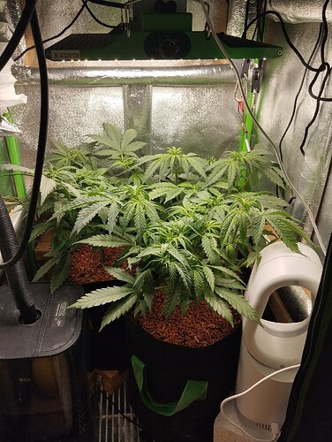 Growreport Bild 1