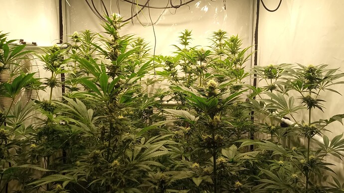 Growreport Bild 21