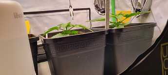 WhatsApp Image 2024-05-11 at 21.17.12 (4)