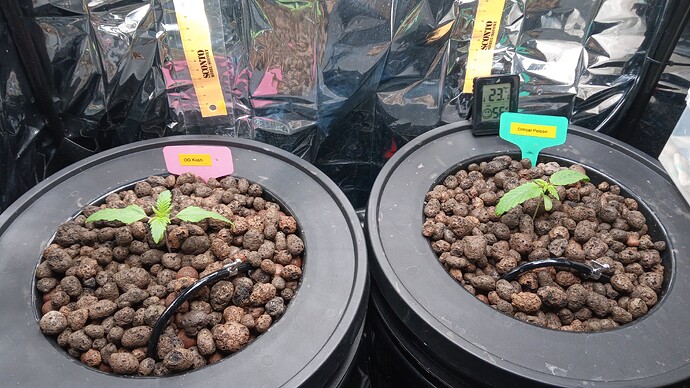 Growreport Bild 8