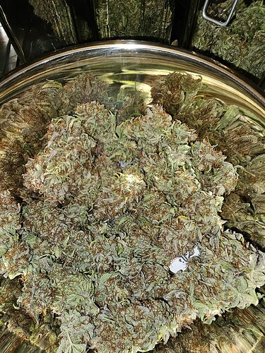 Growreport Bild 12