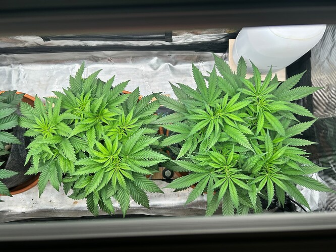 Growreport Bild 8