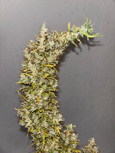 Growreport Bild 8