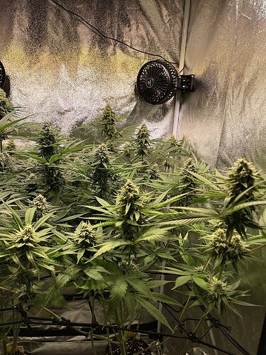 Growreport Bild 15