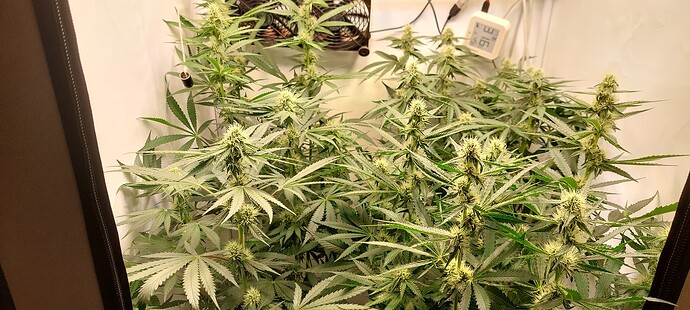 Growreport Bild 2