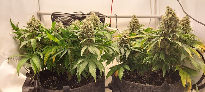 Growreport Bild 5