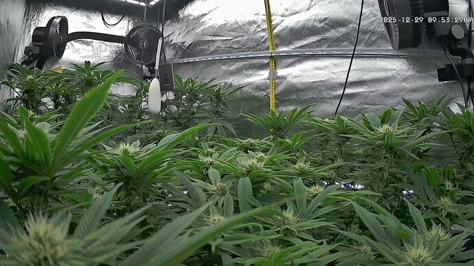 Growreport Bild 23