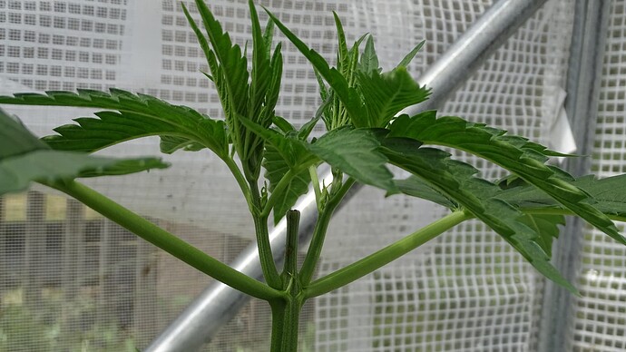 Growreport Bild 13