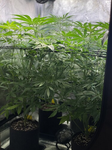 Growreport Bild 7