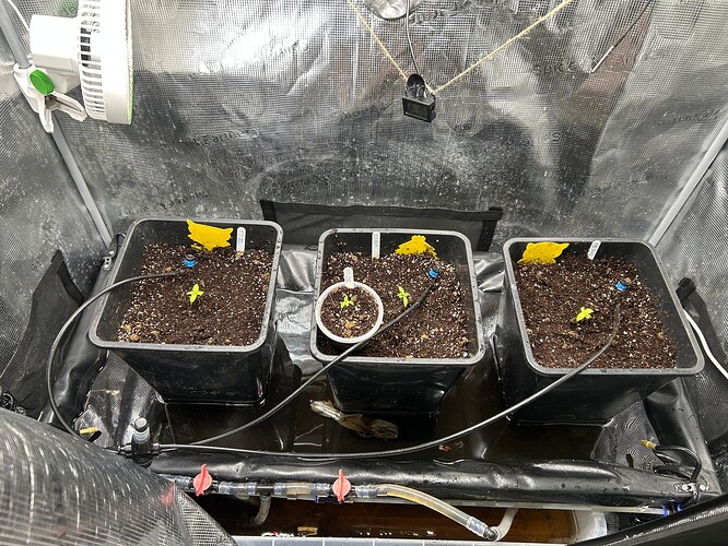 Growreport Bild 32