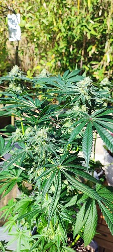Growreport Bild 11