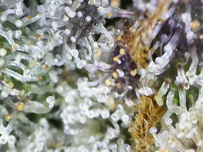 cap_2f4c1369b8e32ccd12d45986cd978a11_00_02_23_06