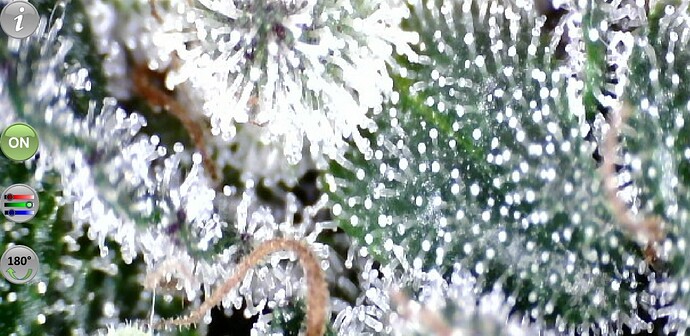 Growreport Bild 14