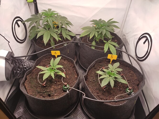 Growreport Bild 15