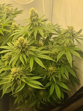 Growreport Bild 2