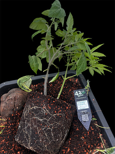 Growreport Bild 30
